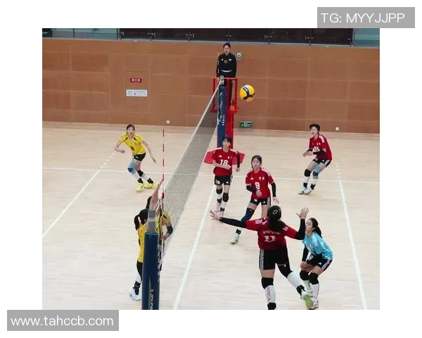 权威发布:2023年排球比赛实力与经验综合排行榜揭晓 权威发布:2023年排球比赛实力与经验综合排行榜揭晓