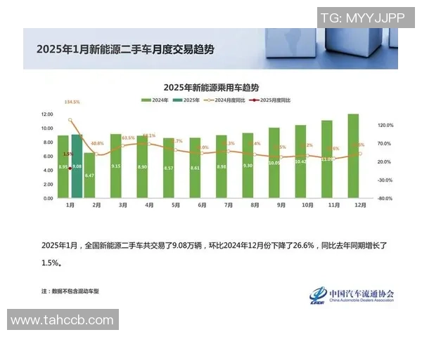 数据分析：武汉乒乓球队的个人能力表现